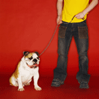 Man holding dog by leash