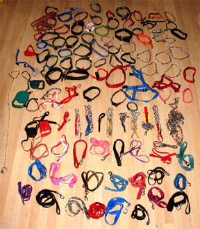 a bunch of leashes and collars