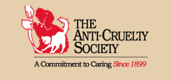 The Anti-Cruelty Society